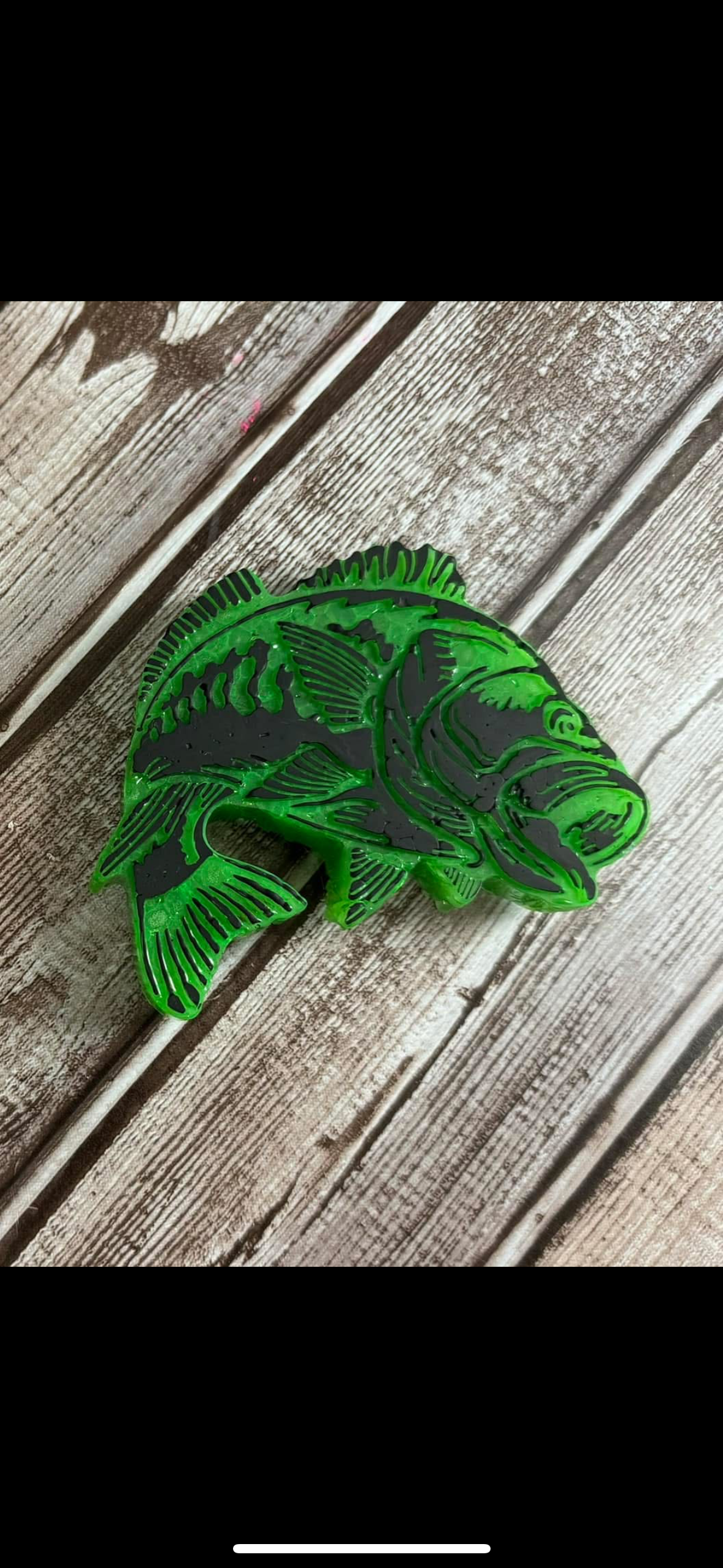 Bass Fish