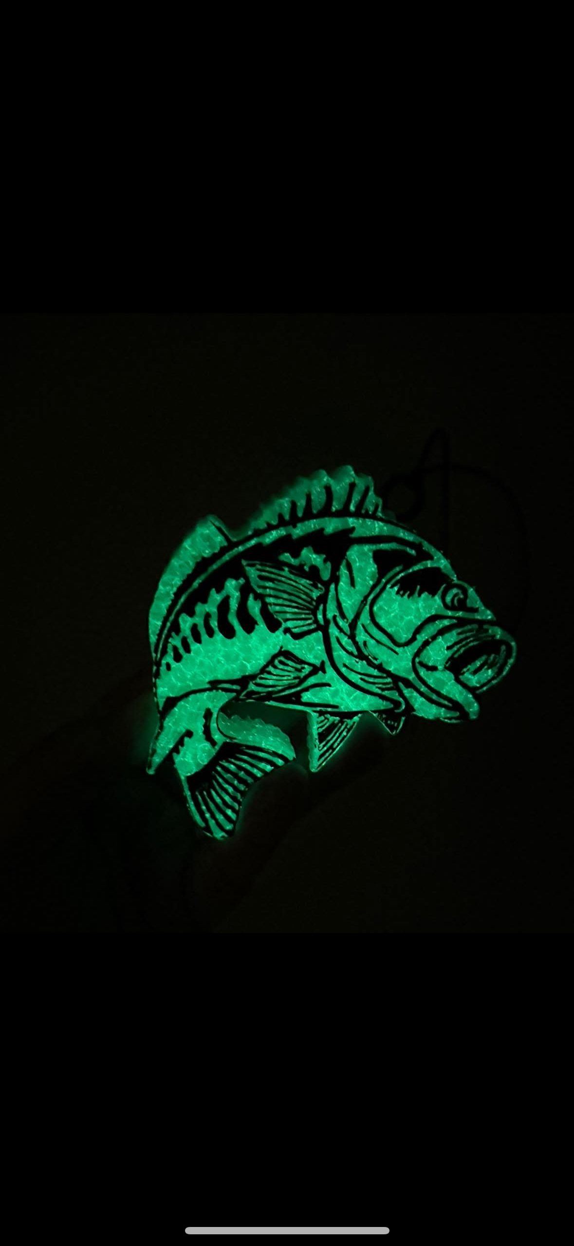 Bass Fish